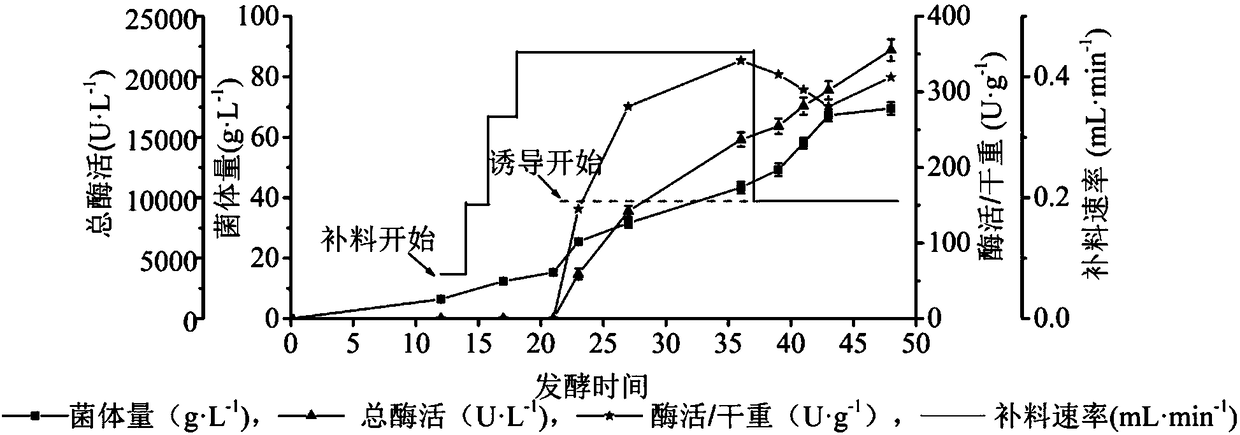 Production and purification method of glucose dehydrogenase by taking FAD (Flavin Adenine Dinucleotide) as prothetic group