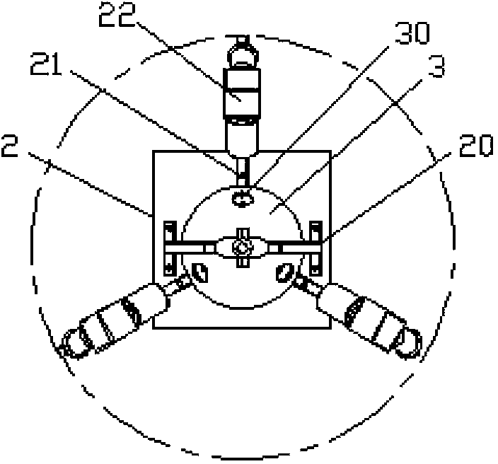 Automatic pearl falling and image acquiring device for sorting pearl shapes