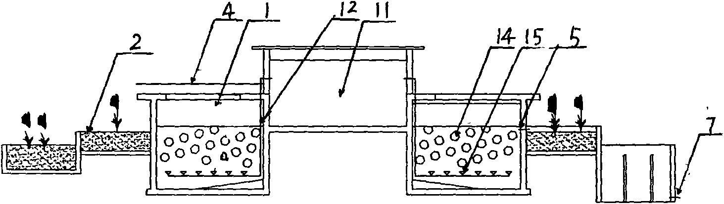 Integrated biological and ecological cooperative sewage treatment reactor