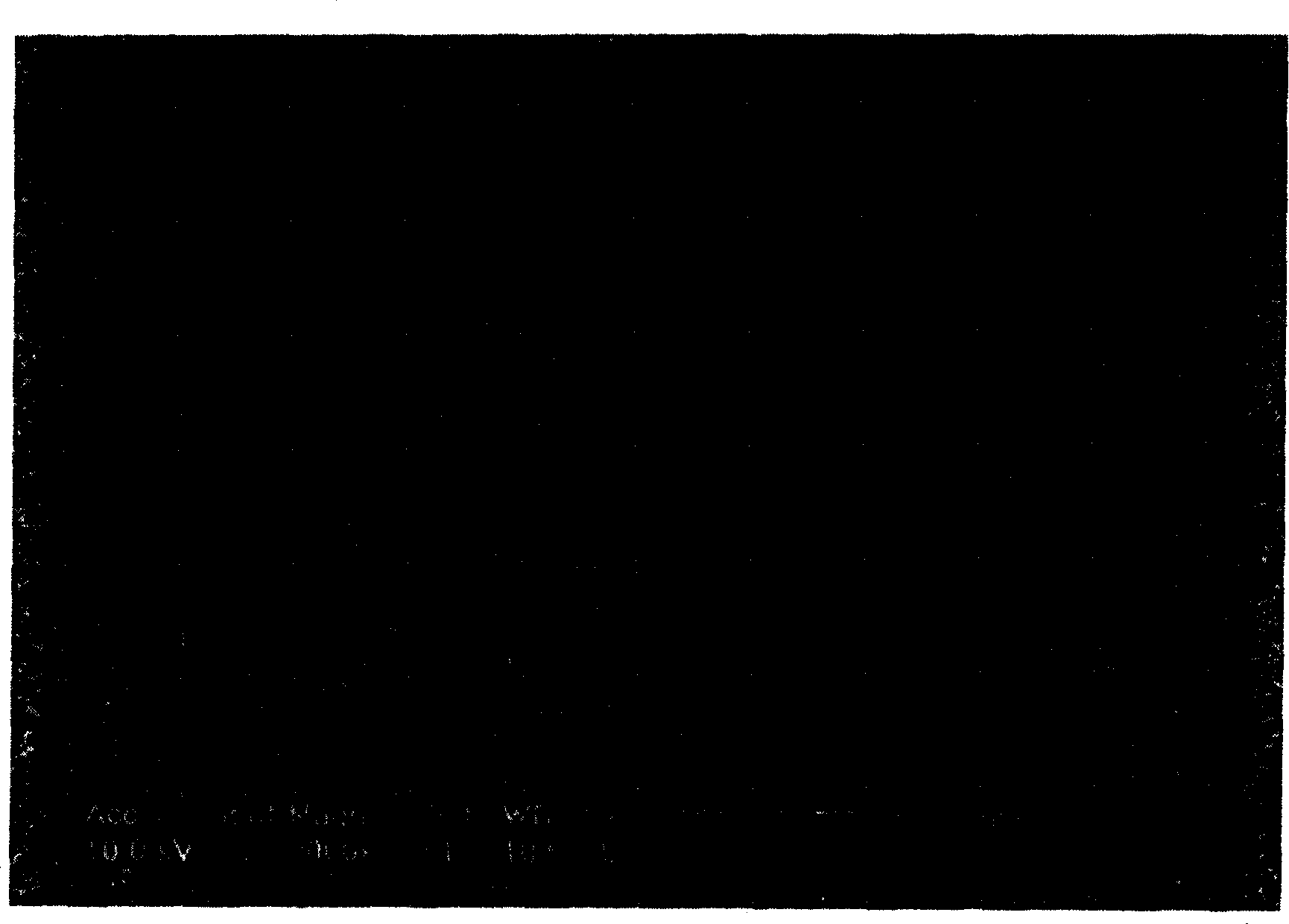 Preparation method of detection filter membrane used for bacteria and virus sampling in air