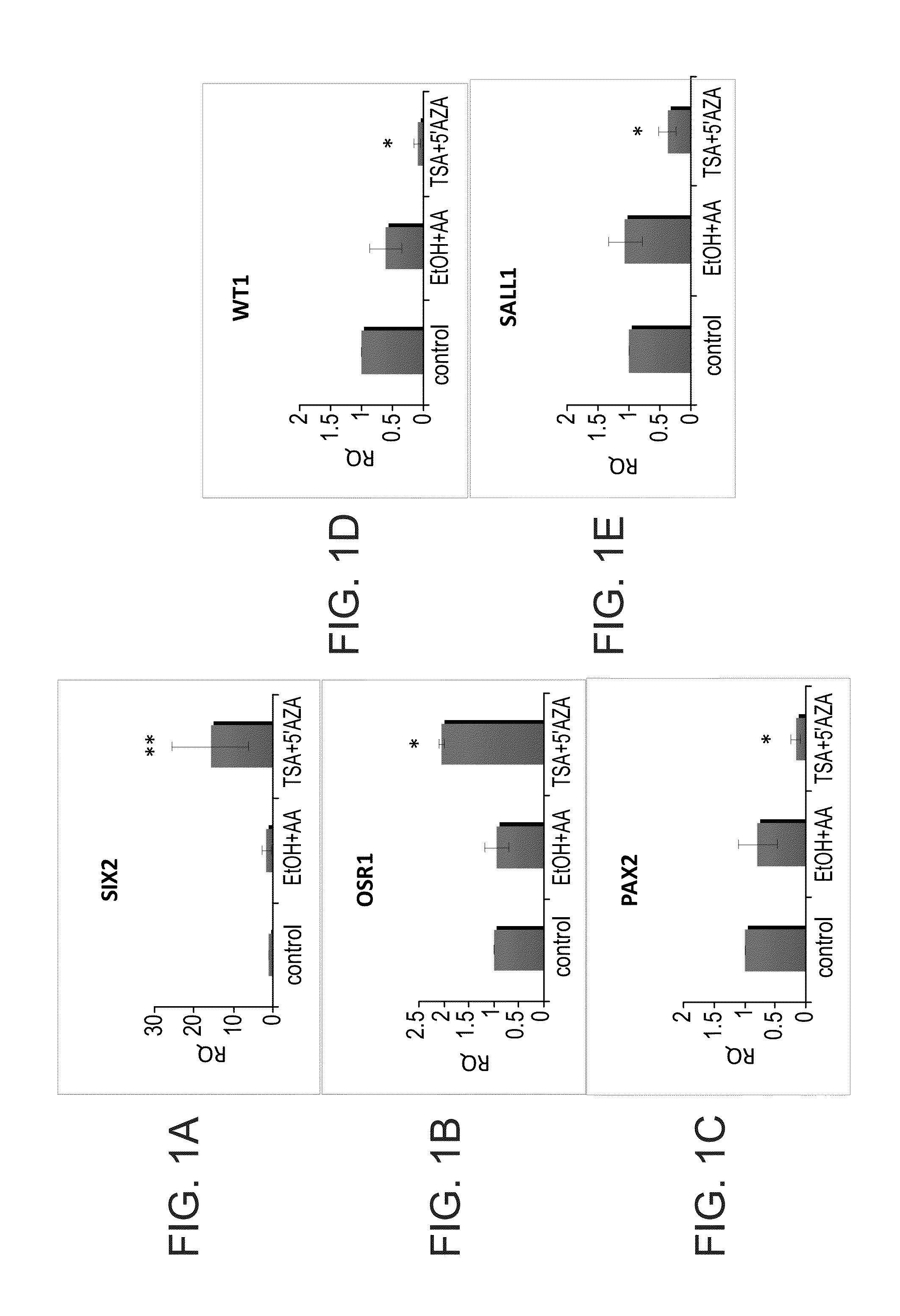 Methods of reprogramming renal cells