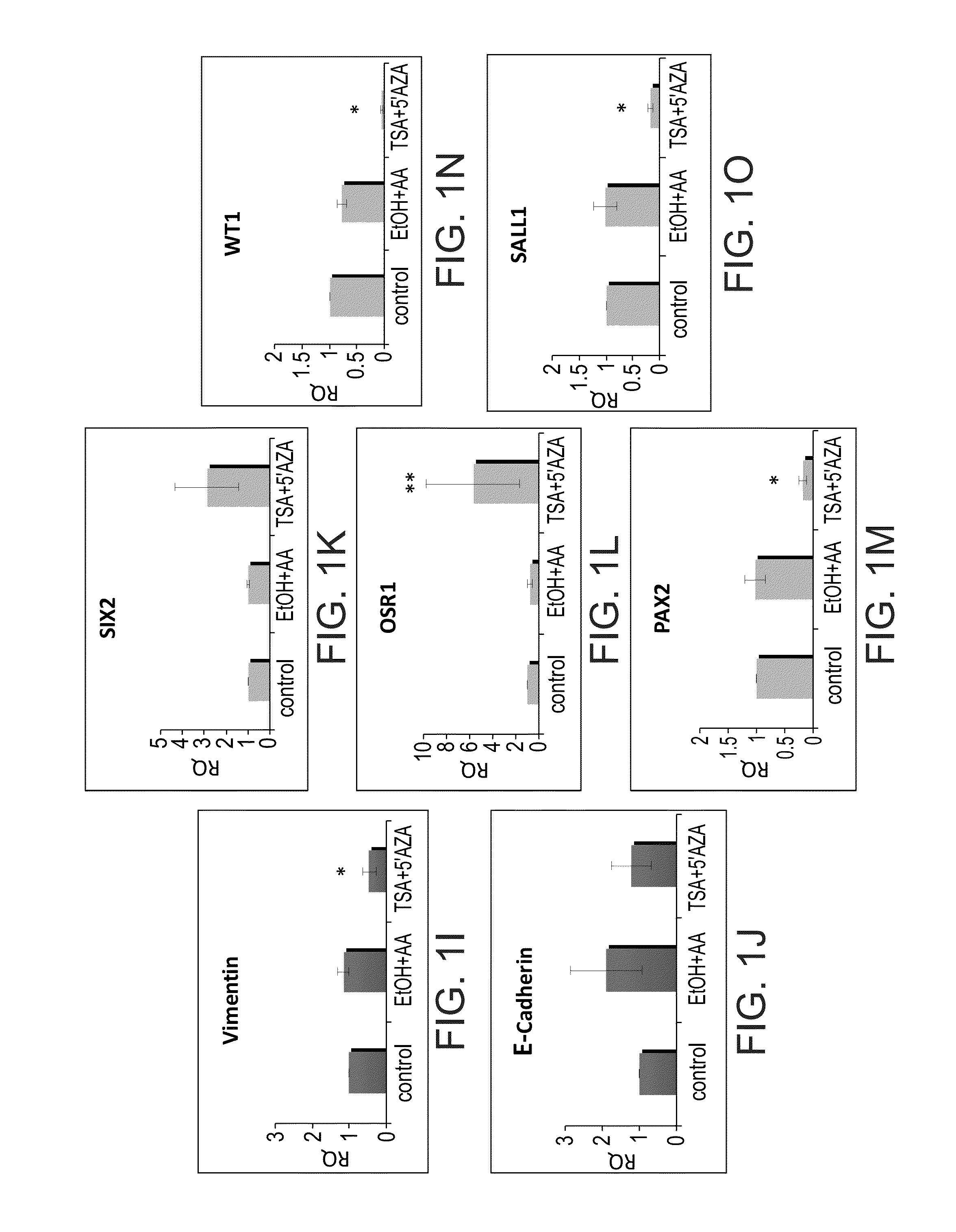 Methods of reprogramming renal cells