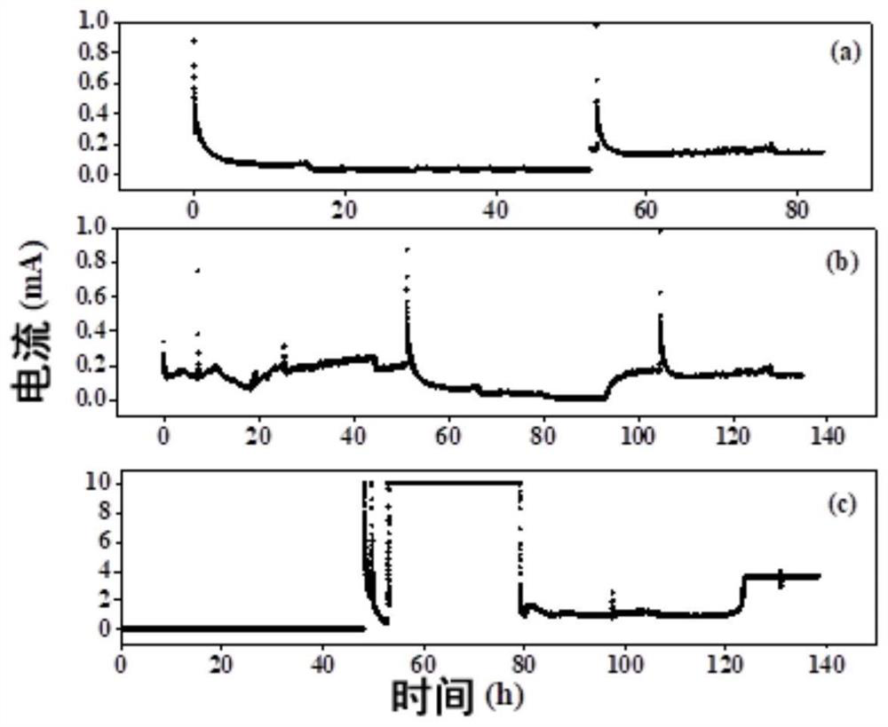 Method for electrocatalytic conversion of carbon dioxide by microorganisms