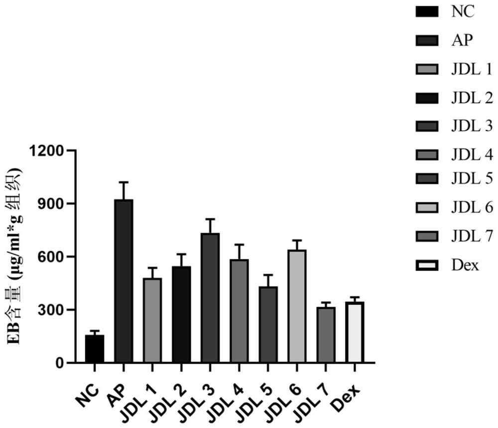 Preparation method of physalis alkekengi extract, physalis alkekengi extract and application of physalis alkekengi extract