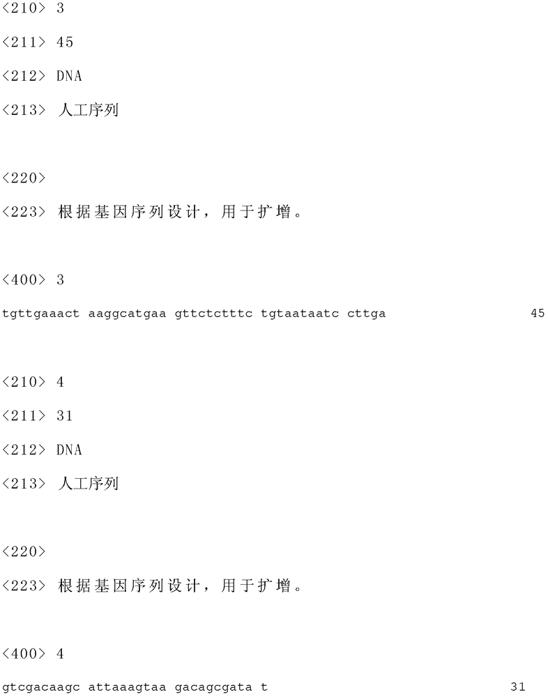 High-yield fumaric acid Rhizopus delemar and application thereof