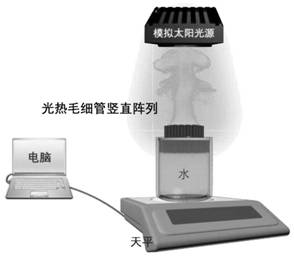 Device with efficient photo-thermal conversion performance and application of device