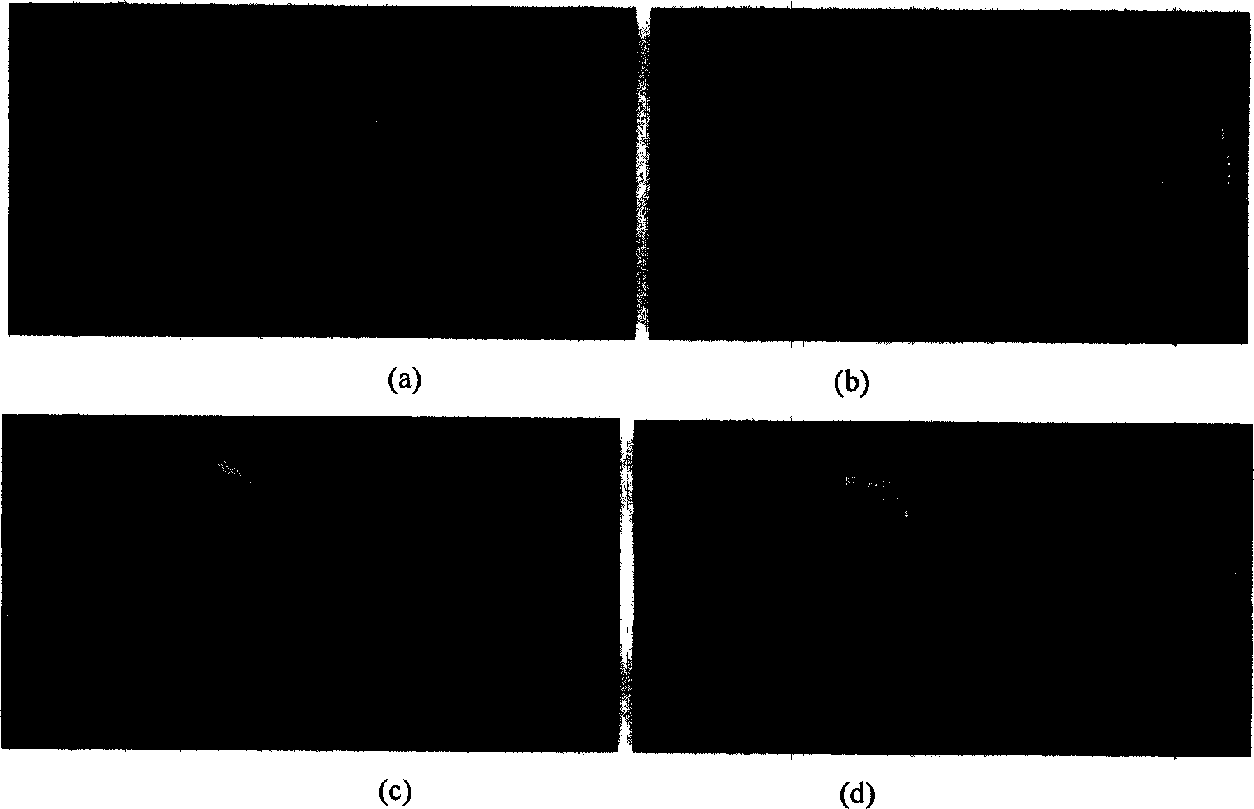 Recovering and treating process for waste printed circuit board and special clamp