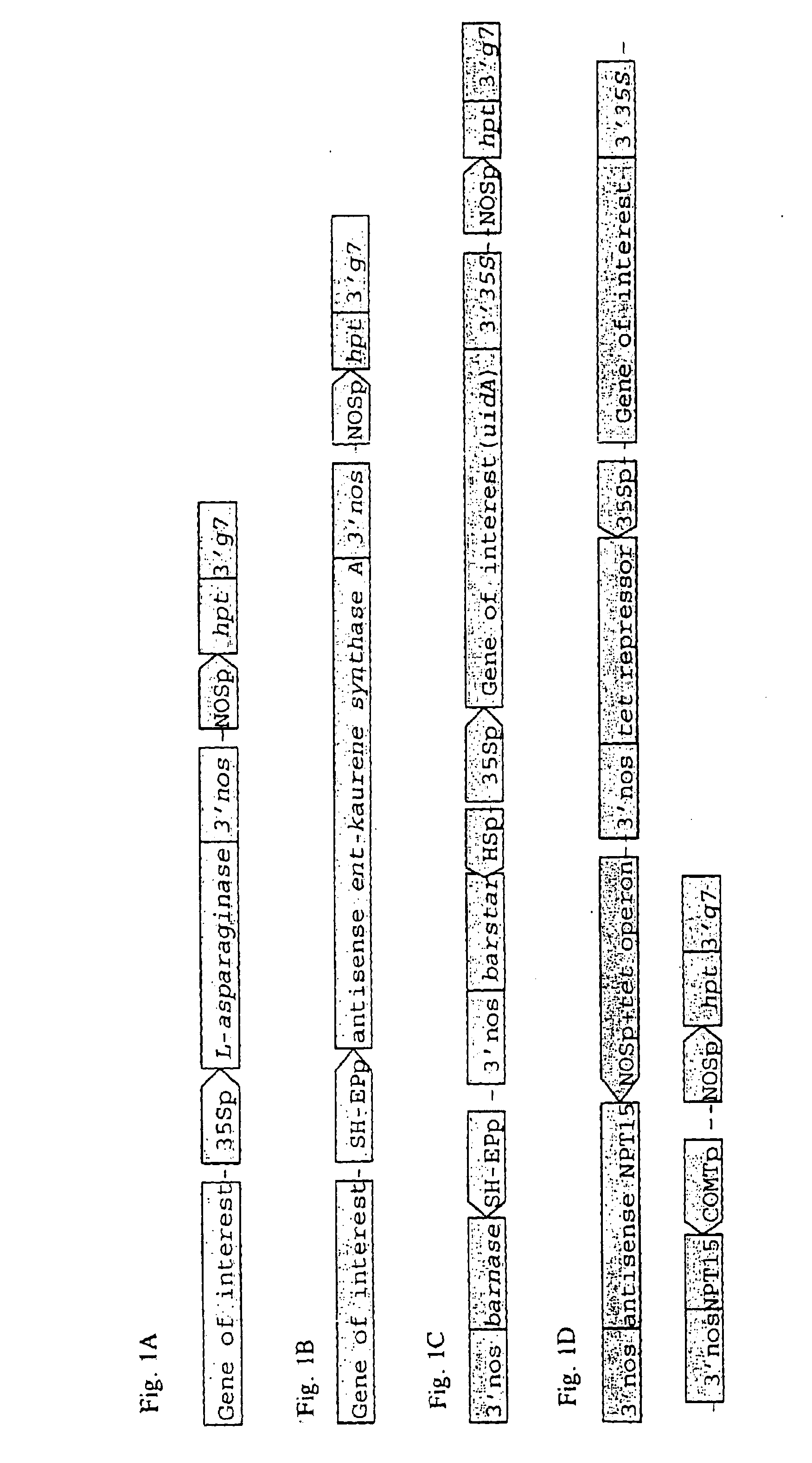 Molecular control of transgene segregation and its escape by a recoverable block of function (RBF) system