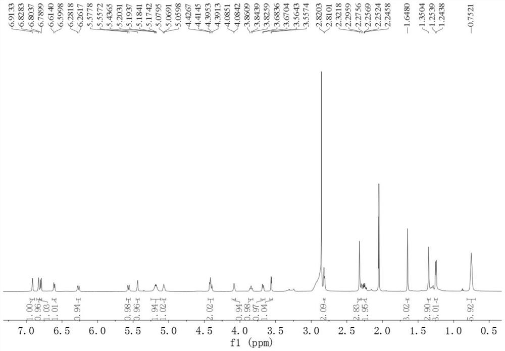 Polyketone compound Lithocarpin E-G as well as preparation method and application thereof