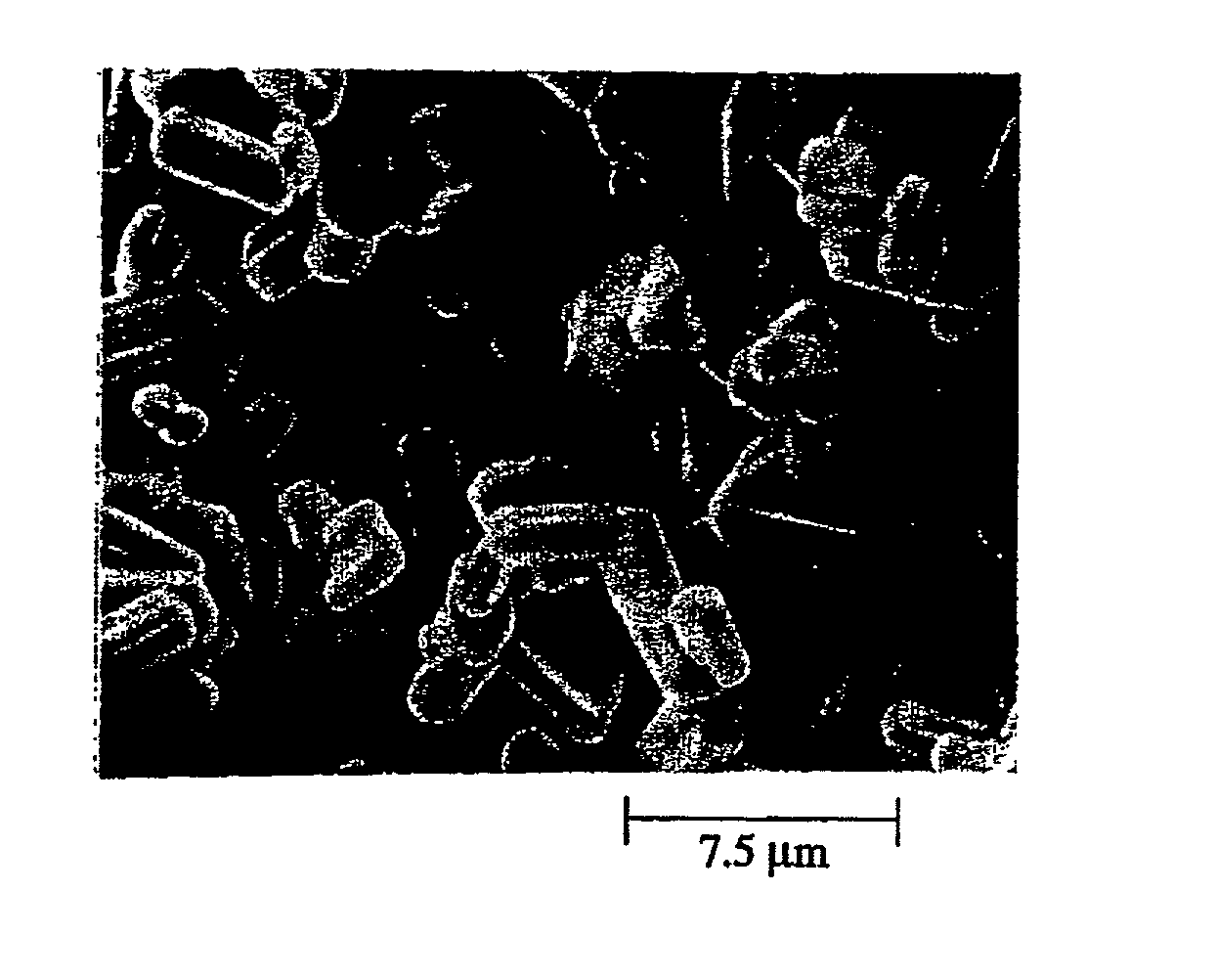 Silicon nitride powder, silicon nitride sintered body, sintered silicon nitride substrate, and circuit board and thermoelectric module comprising such sintered silicon nitride substrate