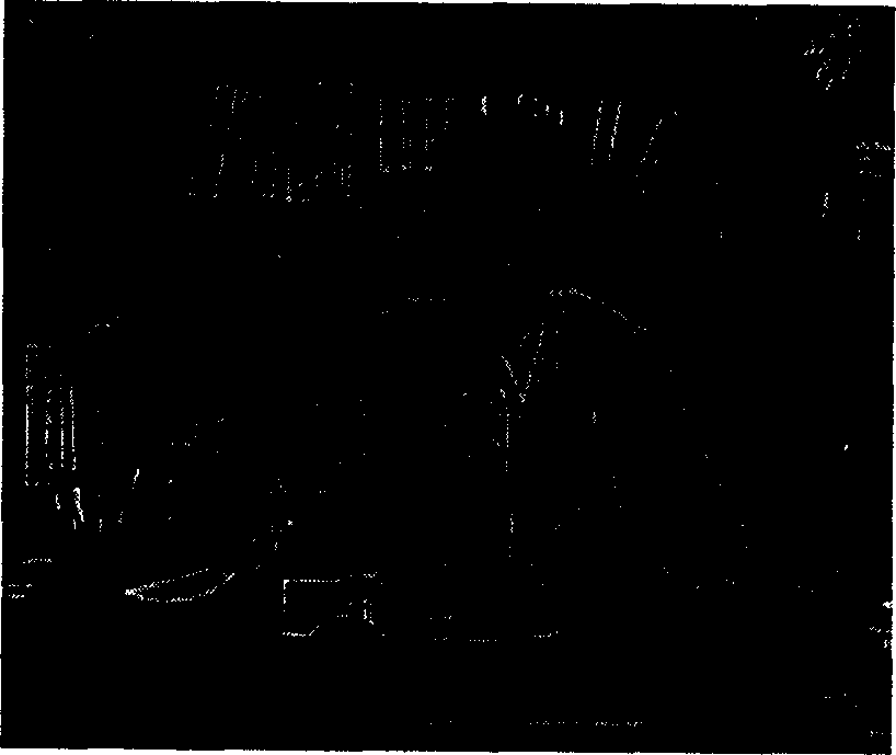 Adaptive residual error frame operation method bused on video image complexity