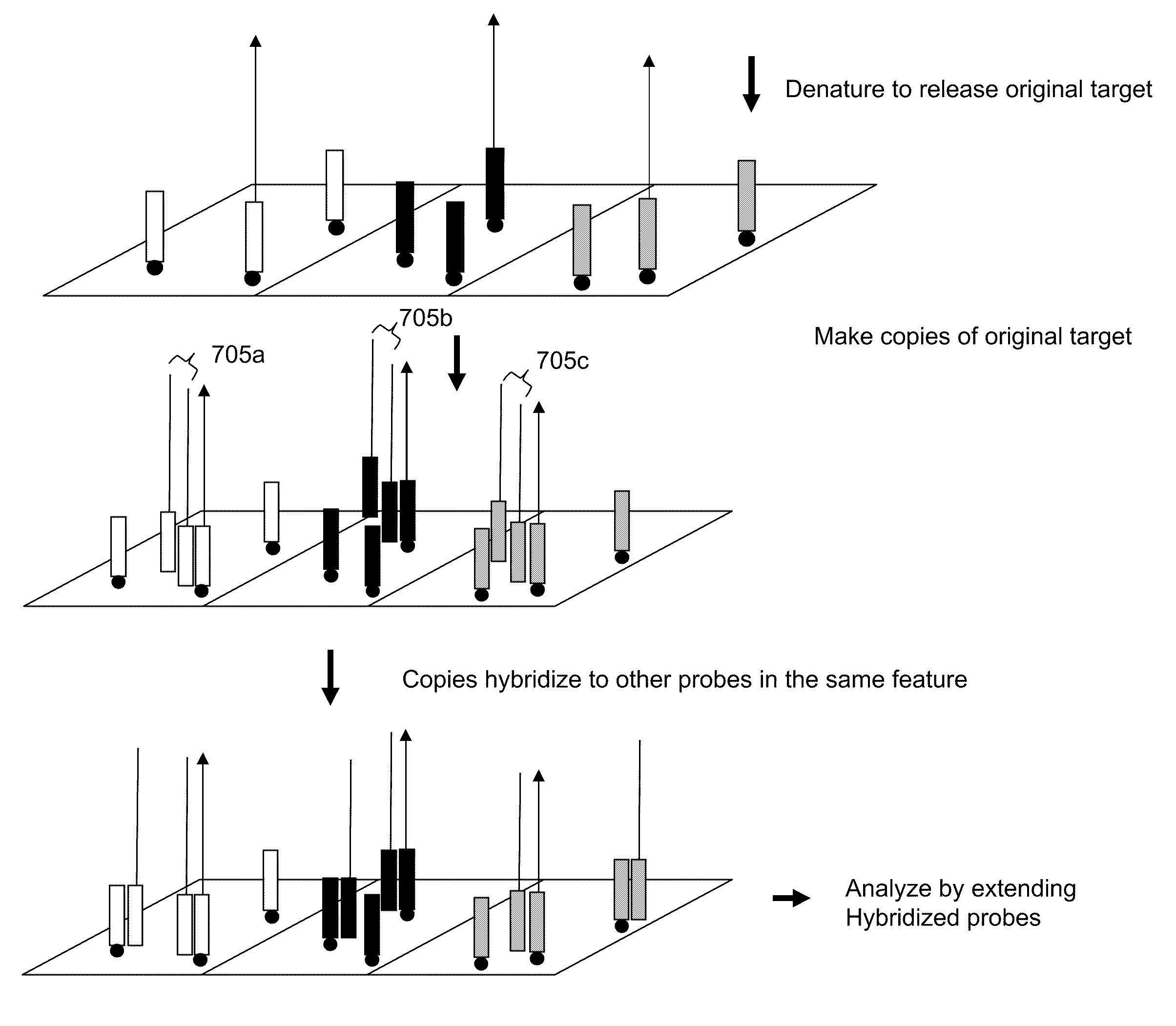 Locus specific amplification using array probes