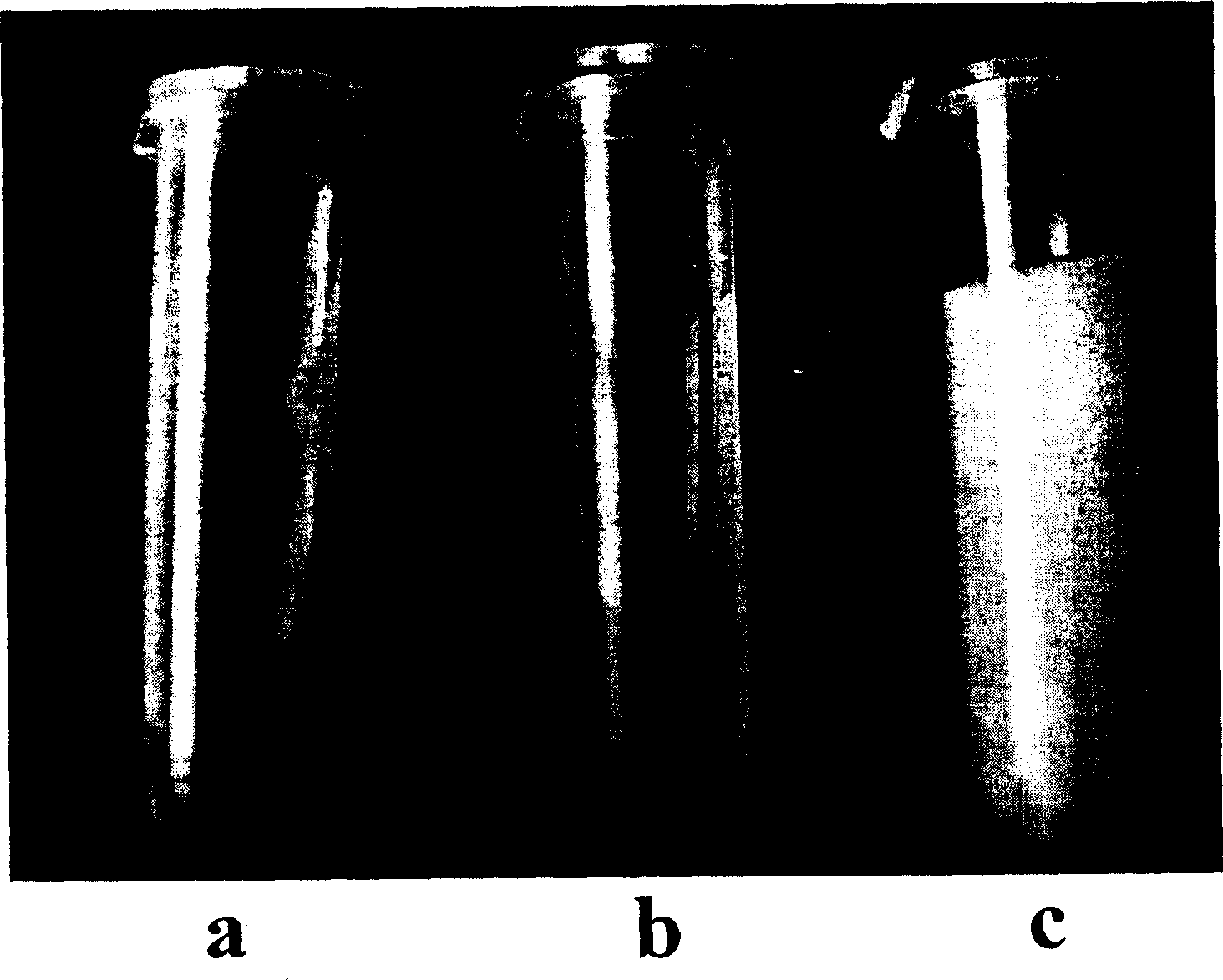 Injection type pH sepsitive chitin quarternary ammonium salt aquagel and its preparation method