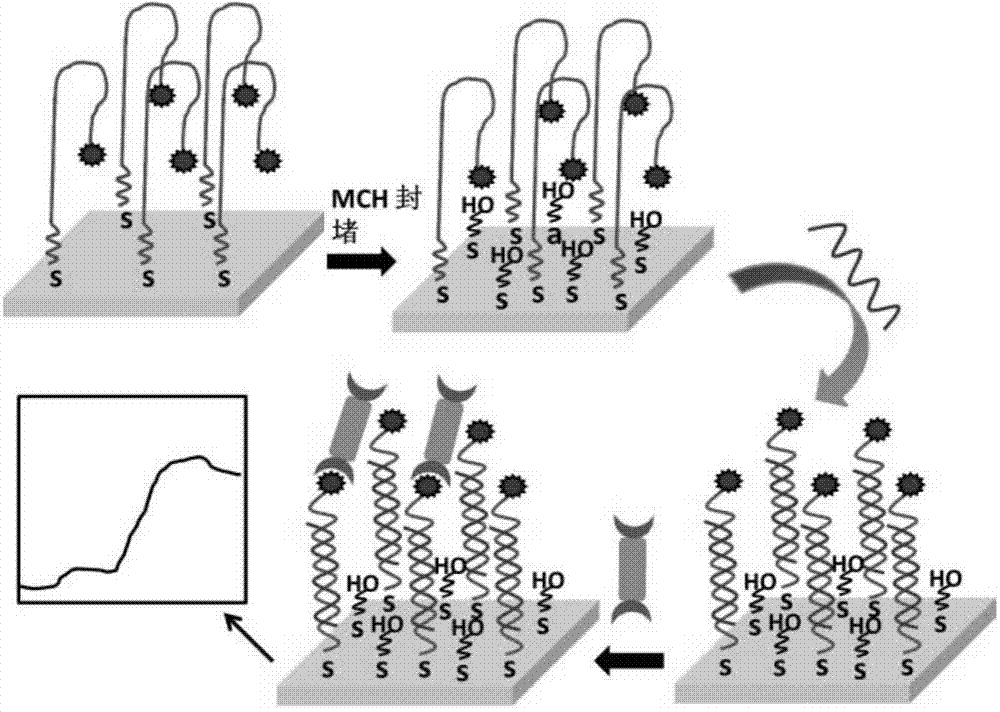 Surface plasma resonance (SPR) sensor chip as well as preparation method and application thereof