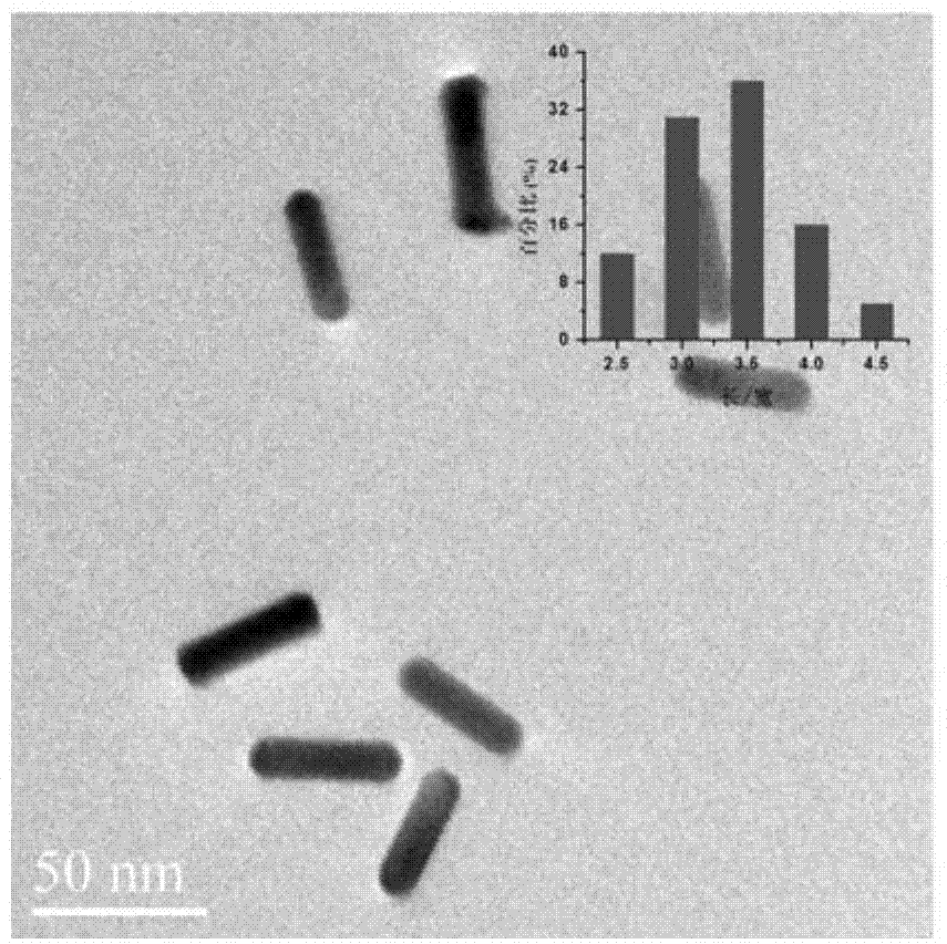 Surface plasma resonance (SPR) sensor chip as well as preparation method and application thereof