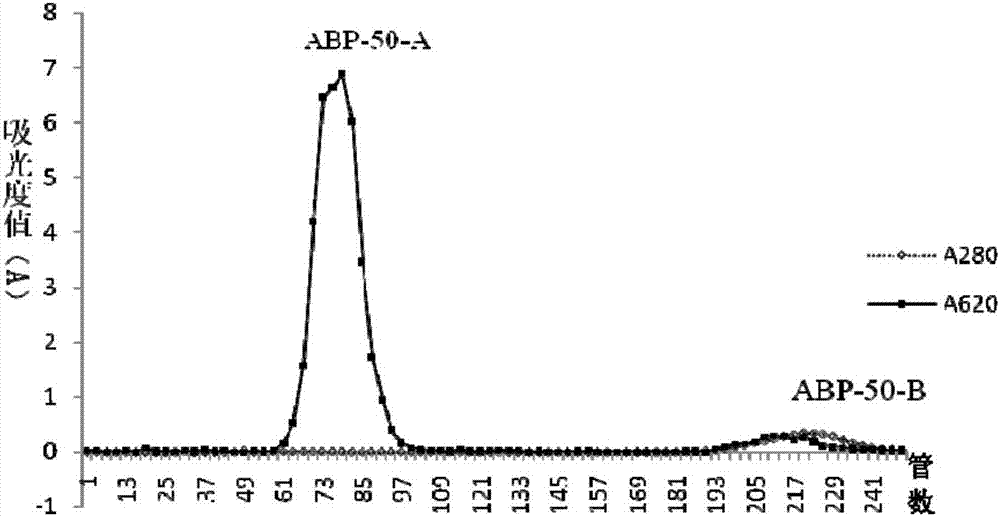 Radix achyranthis bidentatae crude polysaccharide, radix achyranthis bidentatae polysaccharide component, radix achyranthis bidentatae homogeneous polysaccharide, and preparation methods and uses of radix achyranthis bidentatae crude polysaccharide, radix achyranthis bidentatae polysaccharide component and radix achyranthis bidentatae homogeneous polysaccharide