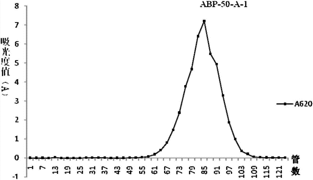 Radix achyranthis bidentatae crude polysaccharide, radix achyranthis bidentatae polysaccharide component, radix achyranthis bidentatae homogeneous polysaccharide, and preparation methods and uses of radix achyranthis bidentatae crude polysaccharide, radix achyranthis bidentatae polysaccharide component and radix achyranthis bidentatae homogeneous polysaccharide