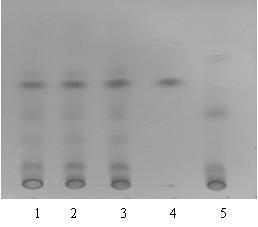 A probiotic fermented traditional Chinese medicine compound composition for treating liver cancer and its preparation and detection method