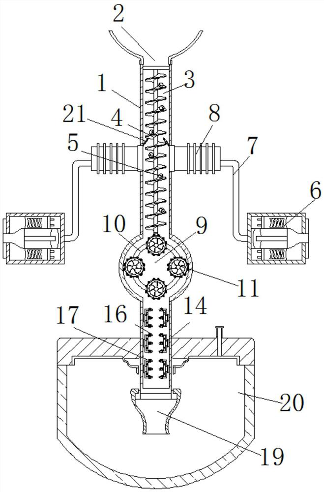 Efficient sectioning machine for lily bulbs