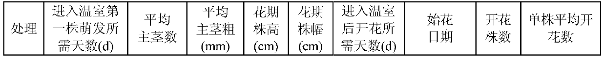 Hangzhou white peony potted flower cultivation method