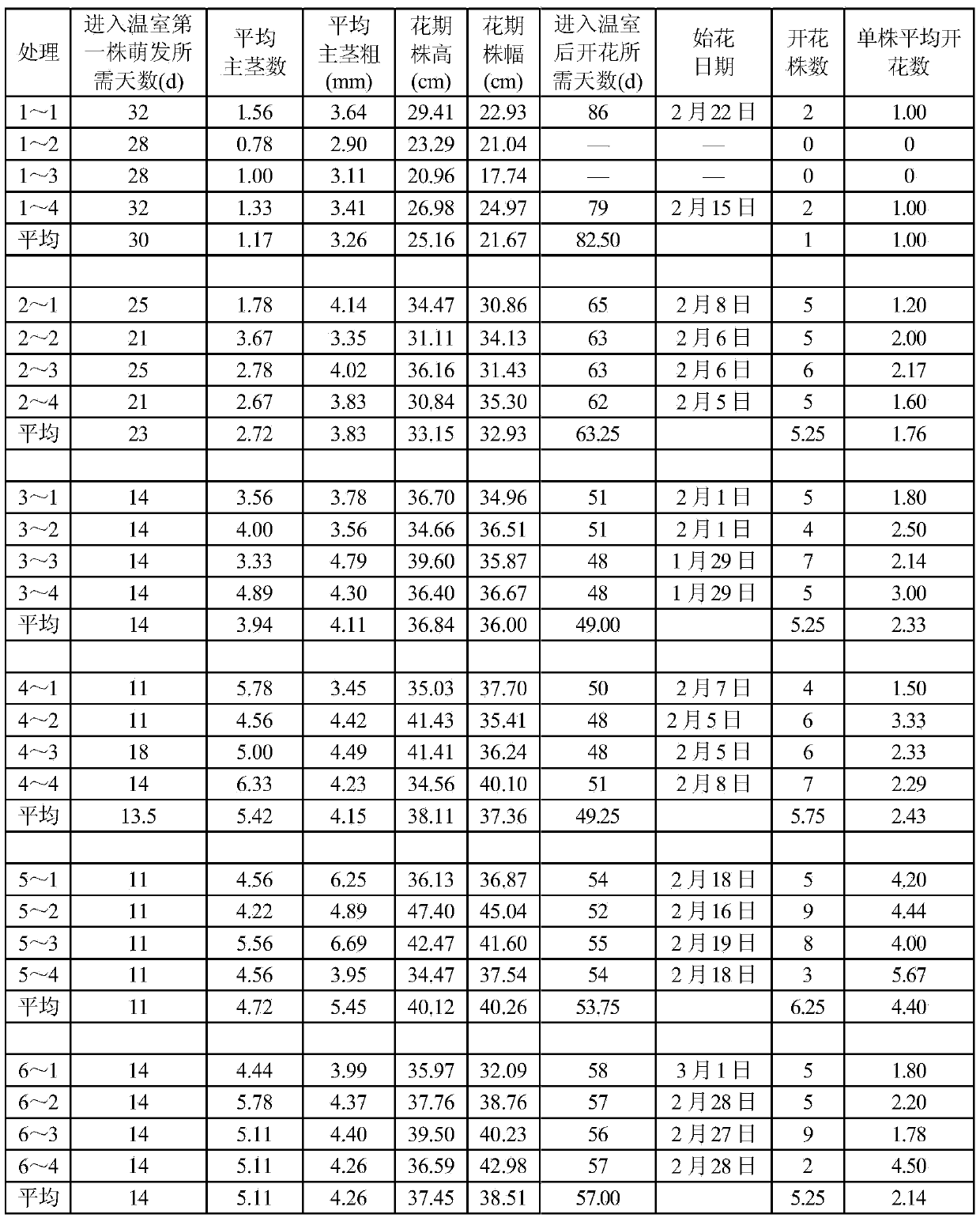 Hangzhou white peony potted flower cultivation method