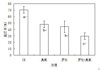 Method for processing disease control after strawberry is picked by combining ozone and Cryptococcus laurentii