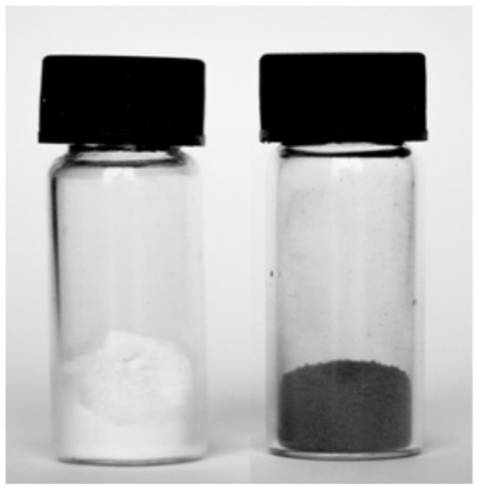 Catalyst carrier treatment method, catalyst for preparing methanol through carbon dioxide hydrogenation, and preparation method and application of catalyst