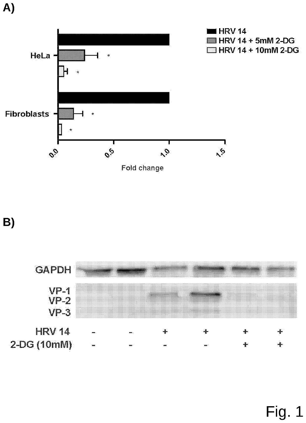 Medicament for prevention or treatment of rhinovirus infection