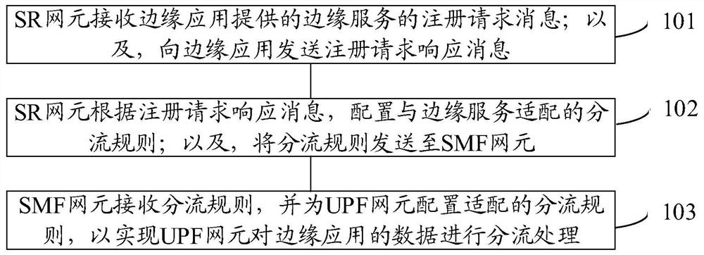 Data shunting method and system for edge application