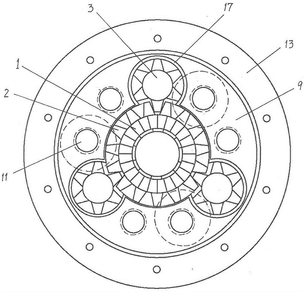 Mechanical locking limited slip differential