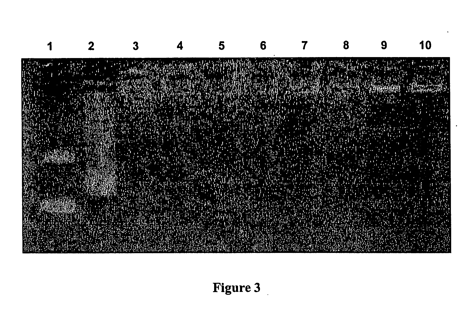 pH triggerable polymeric particles