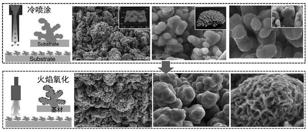 A kind of high mechanical durability superhydrophobic/oil coating with biomimetic structure and preparation method thereof