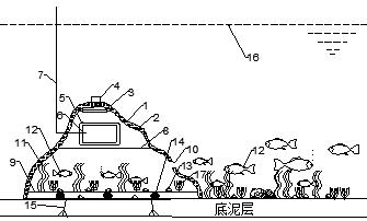 Ecological reef device for purifying water quality by utilizing alga, snail and fish symbiotic system