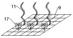 Ecological reef device for purifying water quality by utilizing alga, snail and fish symbiotic system