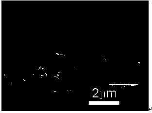 Method for preparing titanium oxide nano wire with self-induction chemical vapor deposition method