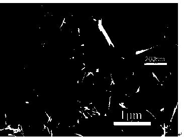 Method for preparing titanium oxide nano wire with self-induction chemical vapor deposition method