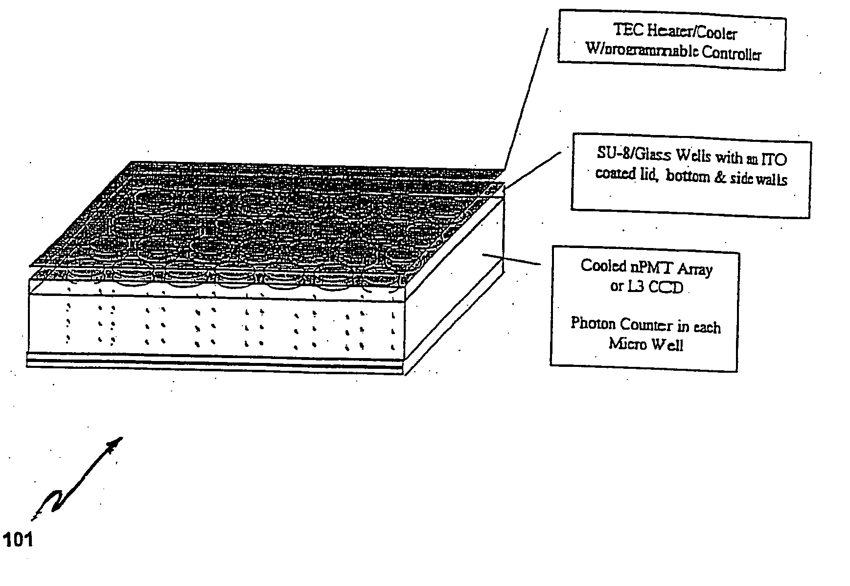 Chips for multiplex analyses