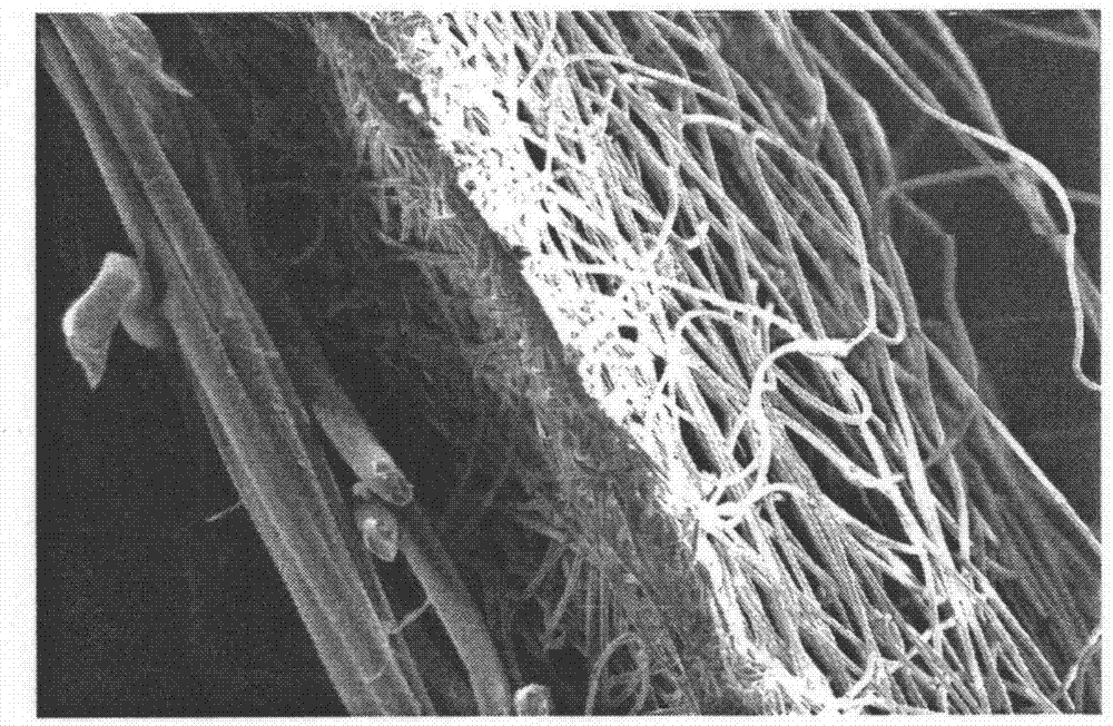 Micron fiber/nano fiber composited electret filter material and preparation method thereof