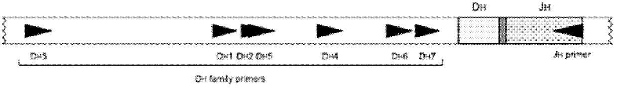 Lymphocyte gene rearrangement clonality assay kit and assay method thereof