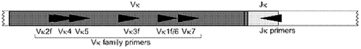 Lymphocyte gene rearrangement clonality assay kit and assay method thereof