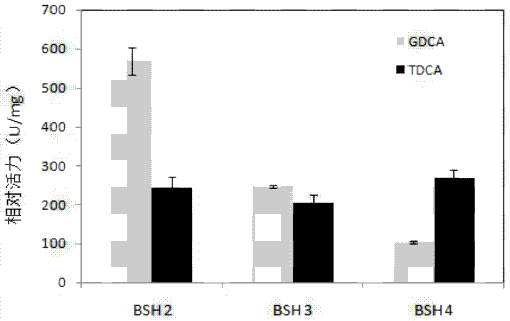 High-bile salt resistance strain and bile salt hydrolase genes