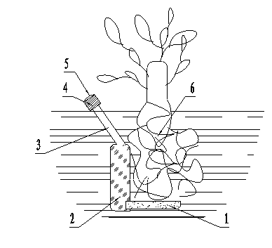 Self-degradation nutrient solution deep-buried irrigation water bag