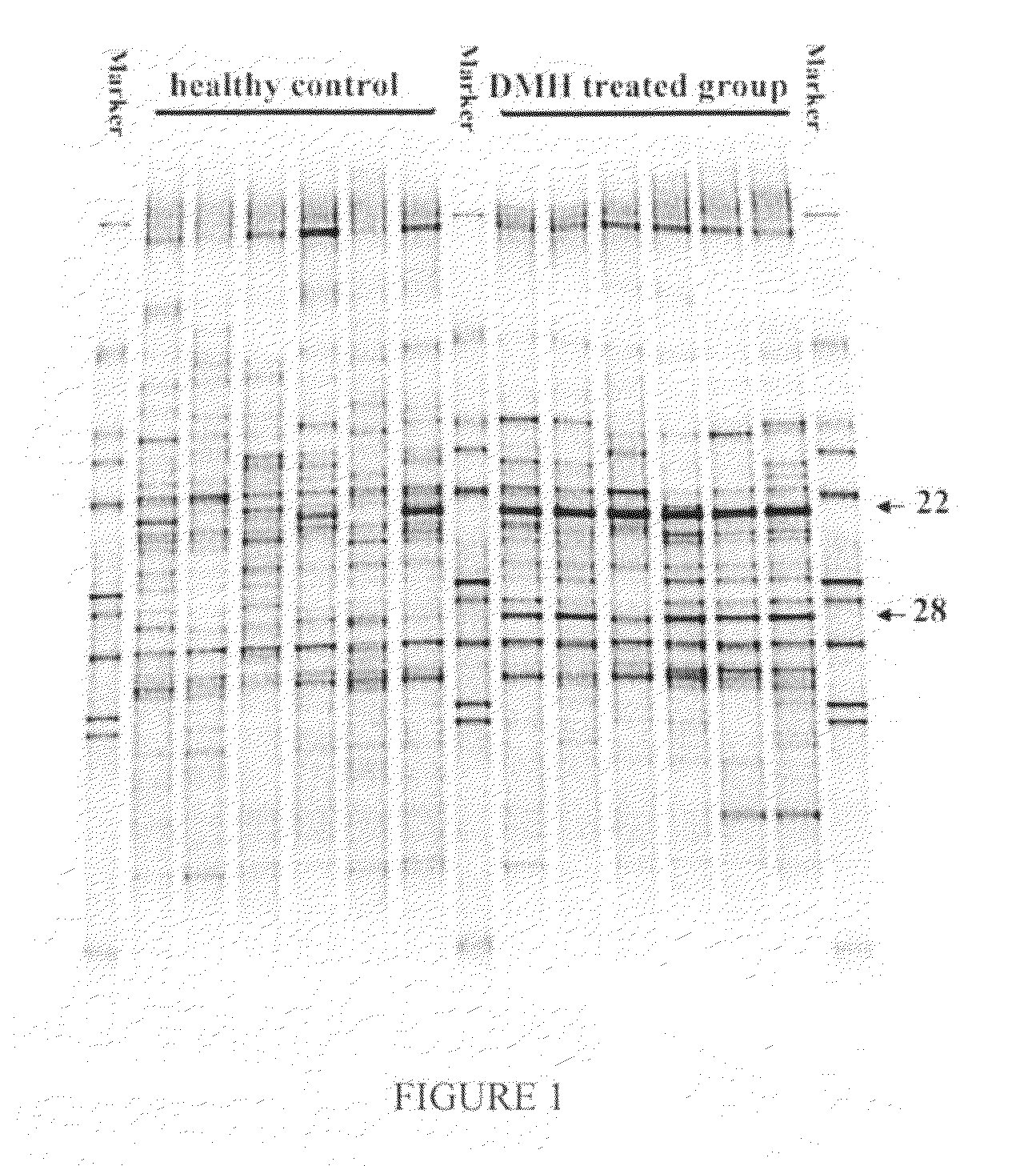 Methods for detecting therapeutic effects of anti-cancer drugs