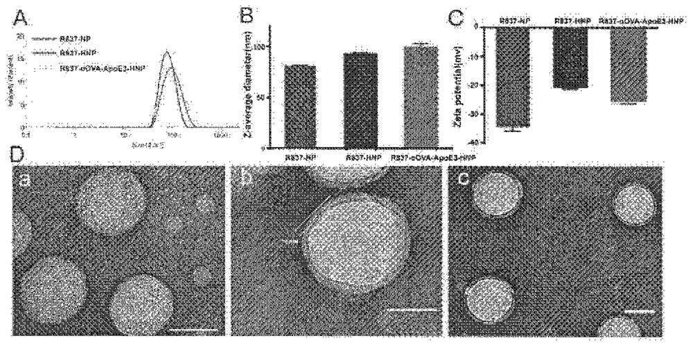 Apolipoprotein modified bionic nano tumor vaccine as well as preparation method and application thereof