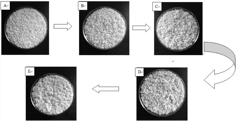 Rice-shaped cassava food and preparation method thereof