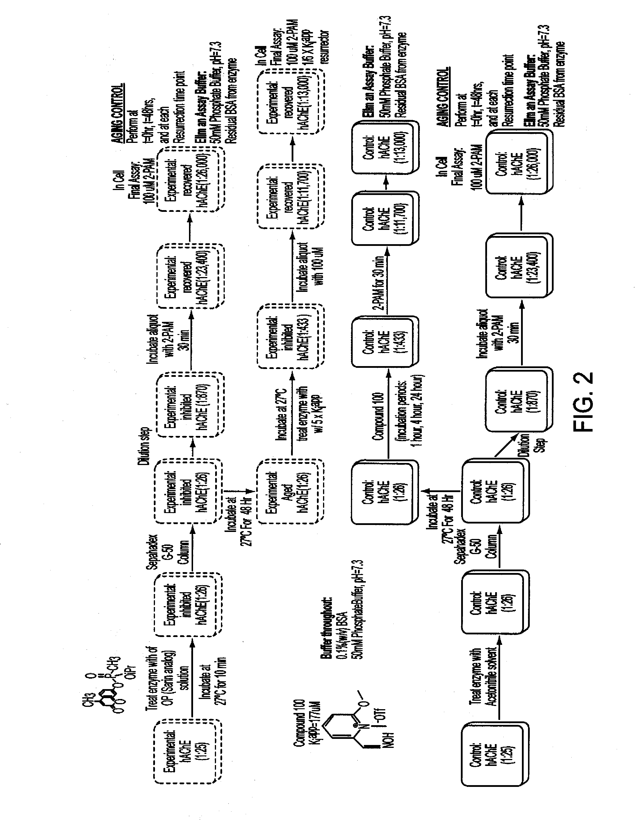 Compounds and methods to treat organophosphorus poisoning