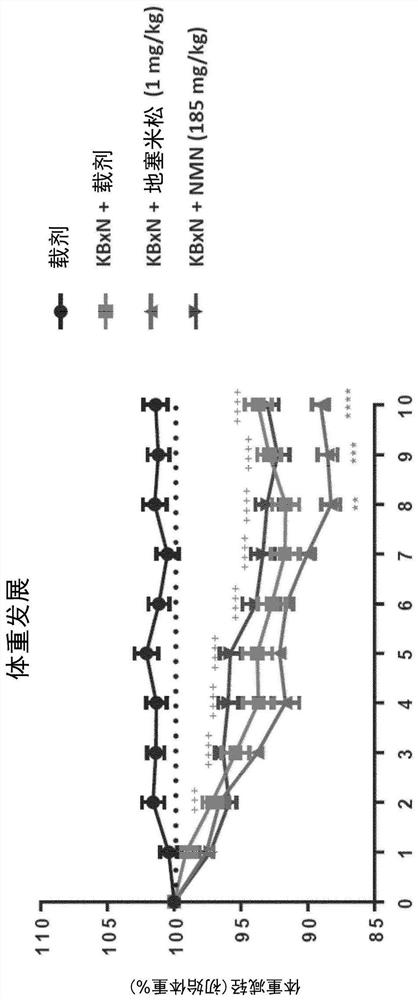 Use of nicotinamide mononucleotide (NMN) for prevention and/or treatment of rheumatoid arthritis and corresponding composition