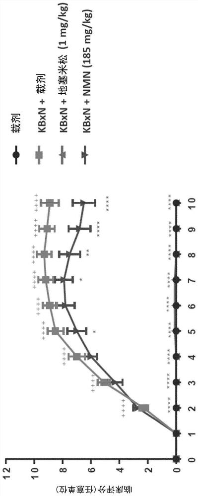 Use of nicotinamide mononucleotide (NMN) for prevention and/or treatment of rheumatoid arthritis and corresponding composition