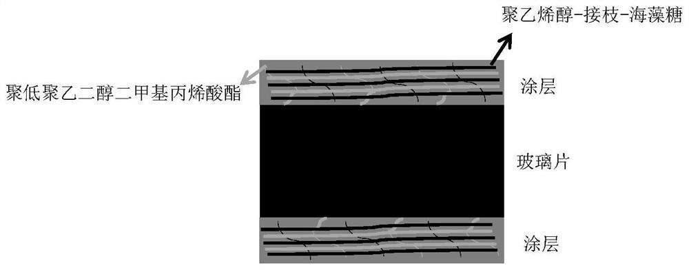 Trehalose modified polyvinyl alcohol anti-fog and anti-frost coating and preparation method thereof