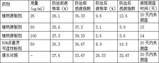 A plant source preparation for preventing and treating tree blister canker and its preparation method